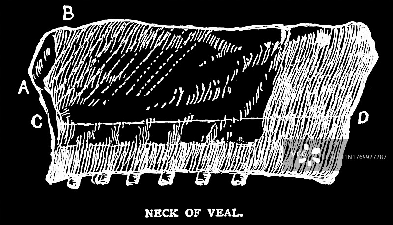 小牛肉颈部的古老雕刻插图图片素材