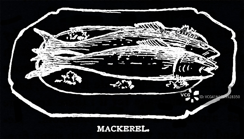 鲑鱼中段切块古老雕刻插图图片素材