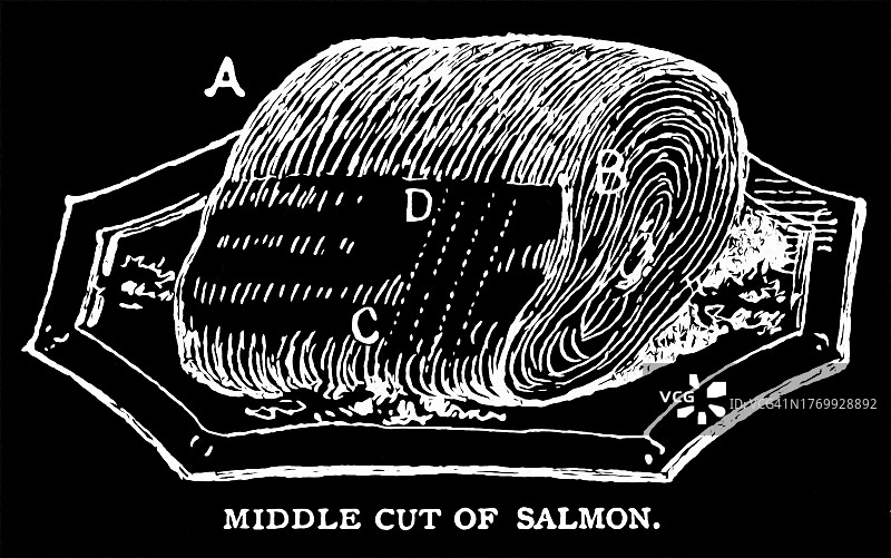 鲑鱼中段切块古老雕刻插图图片素材