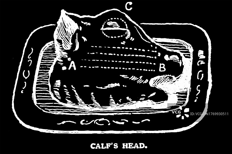 小牛头古老雕刻插图图片素材