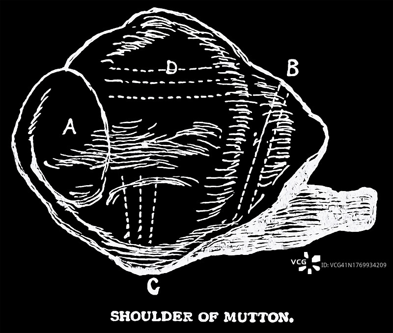 小牛肉胸脯老式雕刻插图图片素材