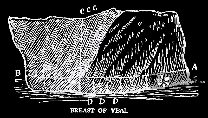 小牛肉胸脯老式雕刻插图图片素材