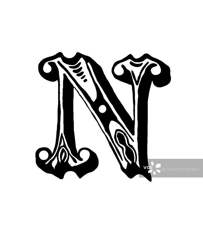 字母N的装饰雕刻插图图片素材