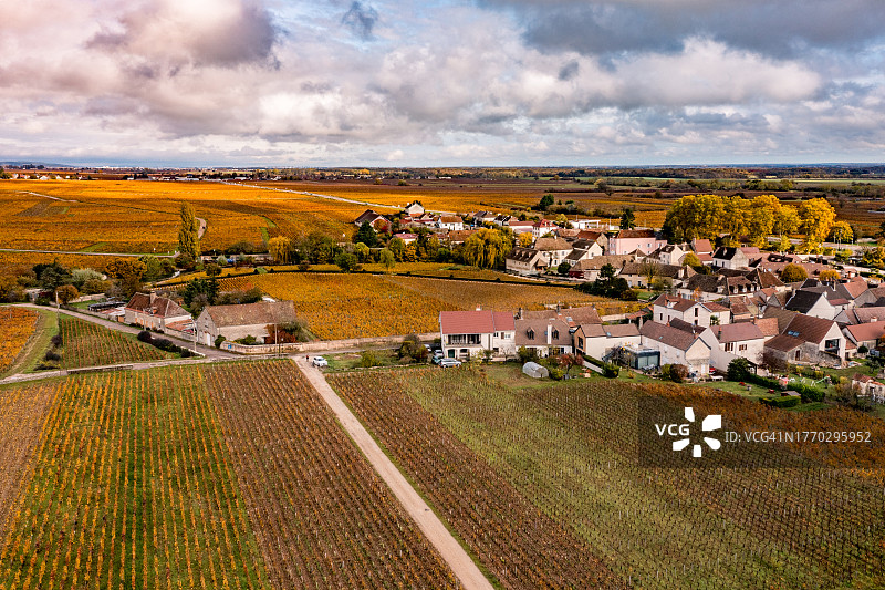 法国勃艮第金丘，霞布利附近的教堂和葡萄园秋景图片素材