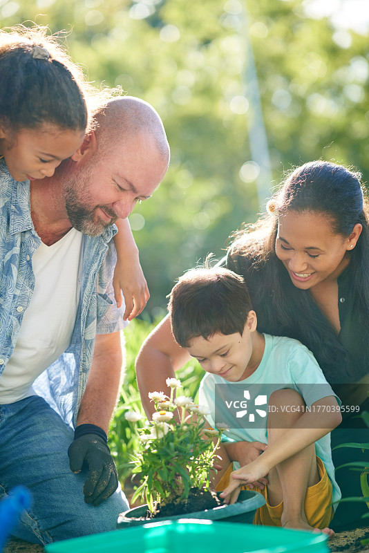幸福家庭在阳光明媚的花园里种植花卉图片素材