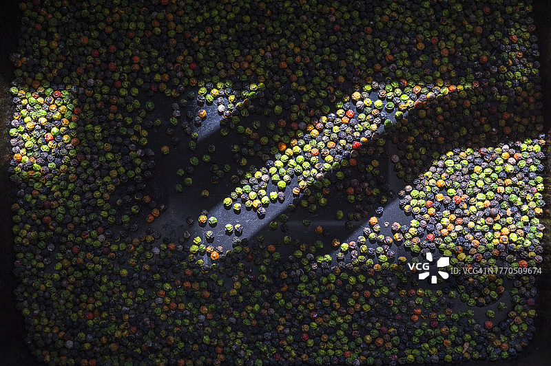 深色背景上的彩色黑胡椒图片素材