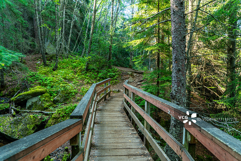 通往美国阿拉斯加州斯卡圭上杜威湖的小径图片素材