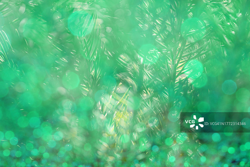 圣诞绿松石光斑背景图片素材