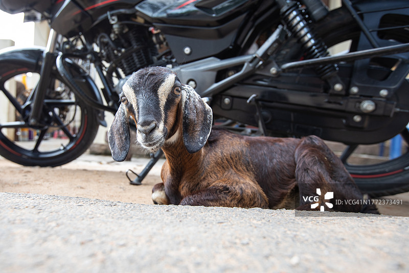 迈索尔城市儿童图片素材