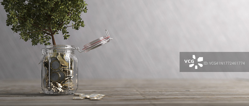 储蓄罐里的硬币长成摇钱树3D渲染概念图片素材