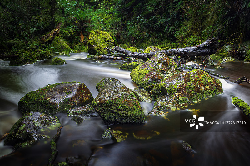 热带雨林河流图片素材