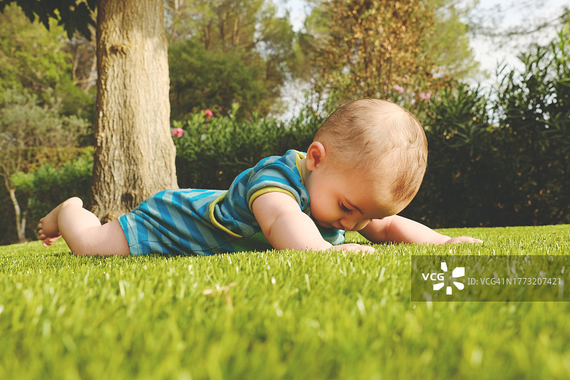 婴儿趴在花园的草地上图片素材