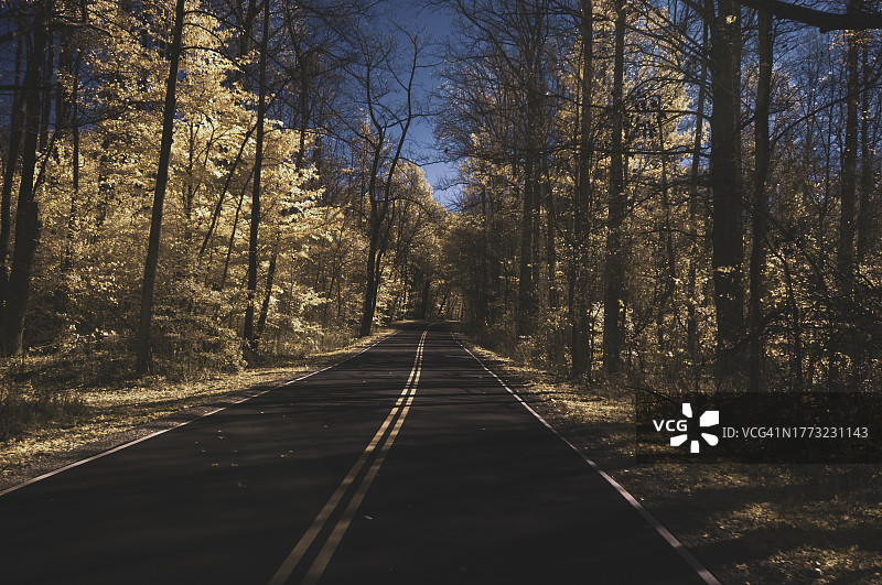 在印第安纳州37号公路旧线，驾车穿越摩根·门罗州立森林图片素材