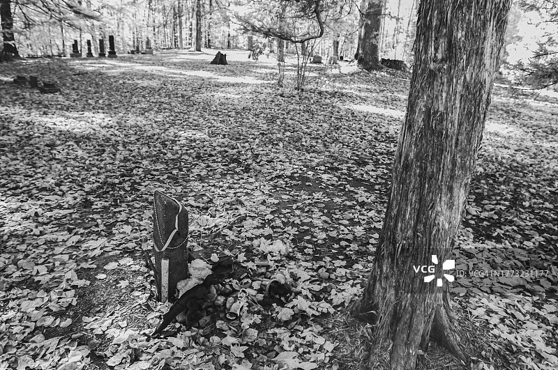 印第安纳州摩根门罗州立森林中闹鬼的斯蒂普公墓图片素材
