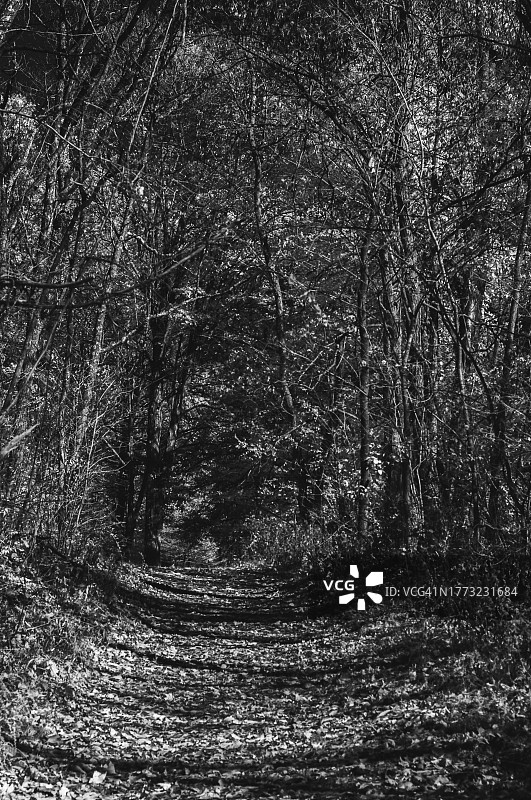 通往斯泰普公墓的道路图片素材