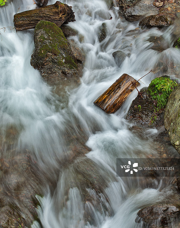 树林中的溪流图片素材