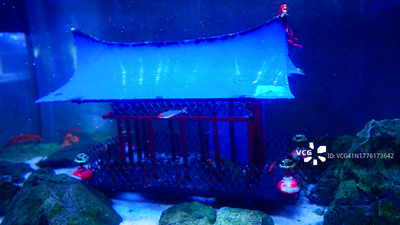 日式建筑主题鱼缸装饰图片素材