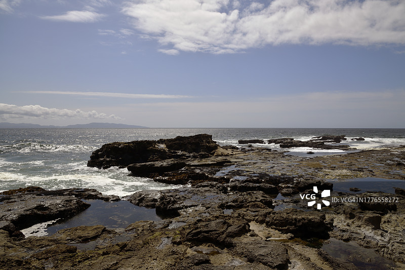 在植物海滩上行走图片素材