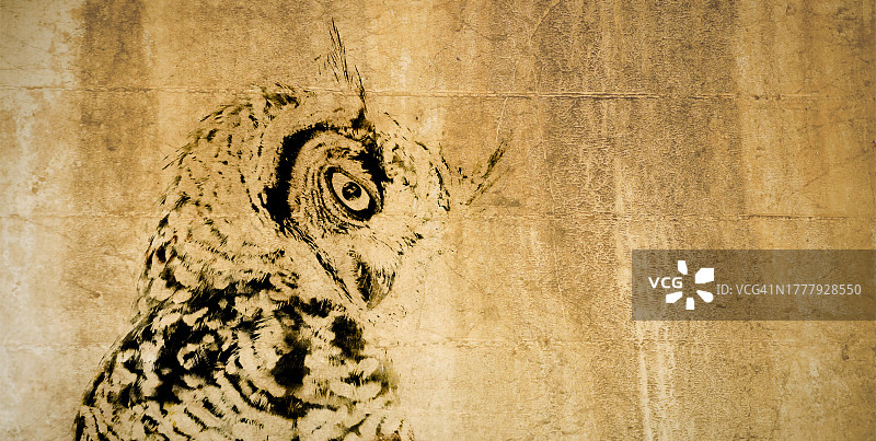 猫头鹰图案图片素材