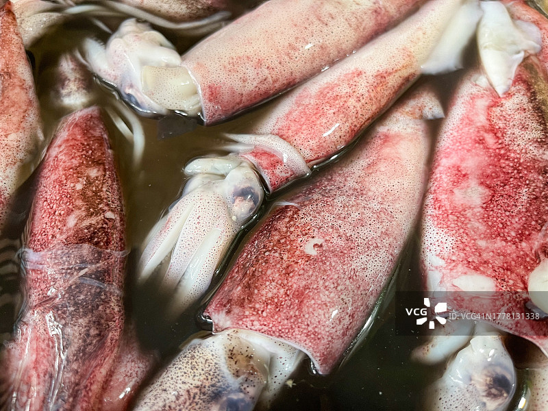 市场上出售的鱿鱼特写图片素材