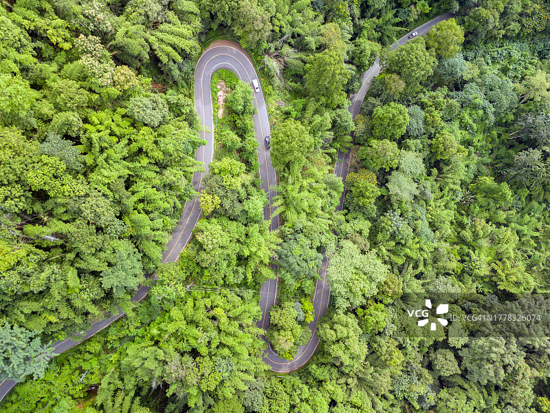 通往山上的森林公路曲线航拍图片素材