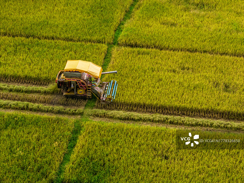 俯视角度：田间作业的收割机图片素材