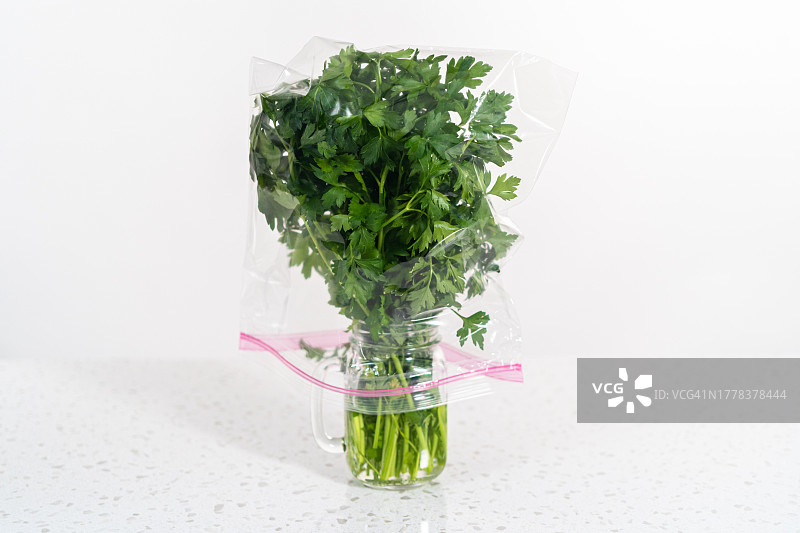 白色背景下桌子上的盆栽特写图片素材