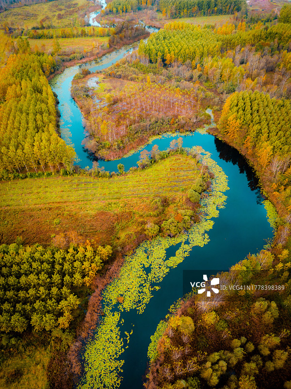 土耳其萨卡里亚森林秋季树木鸟瞰图图片素材