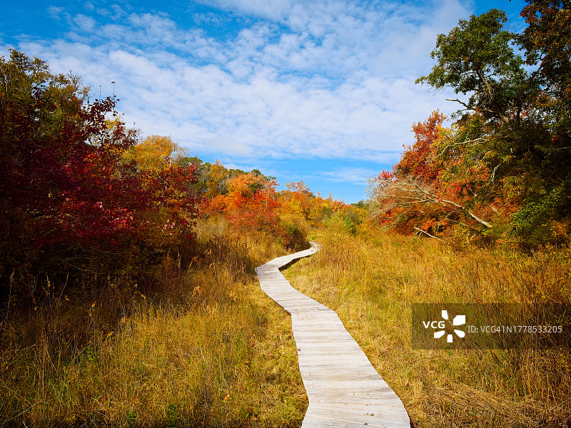 美国马萨诸塞州普利茅斯秋季树木掩映下的空旷道路图片素材
