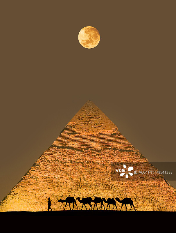 骆驼队和金字塔图片素材