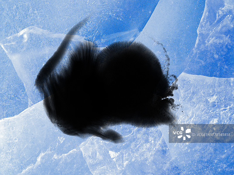 蓝色冰面上滑动的黑色油漆飞溅和滴落图片素材