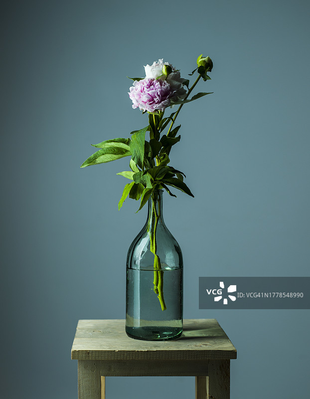 灰色背景下，花瓶中鲜花的桌上特写图片素材