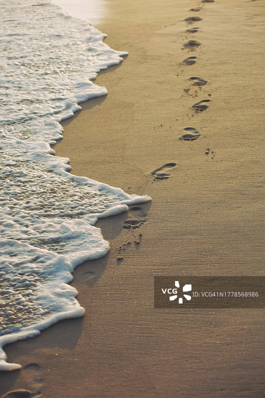 海滩的高角度视图图片素材