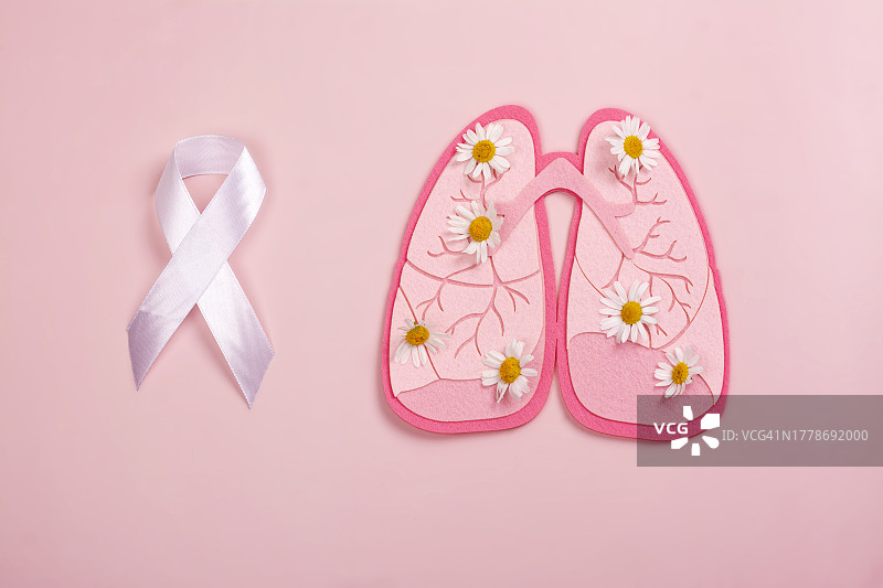 粉色背景上的粉色肺部图像，配有雏菊和白色丝带，结核病宣传日图片素材