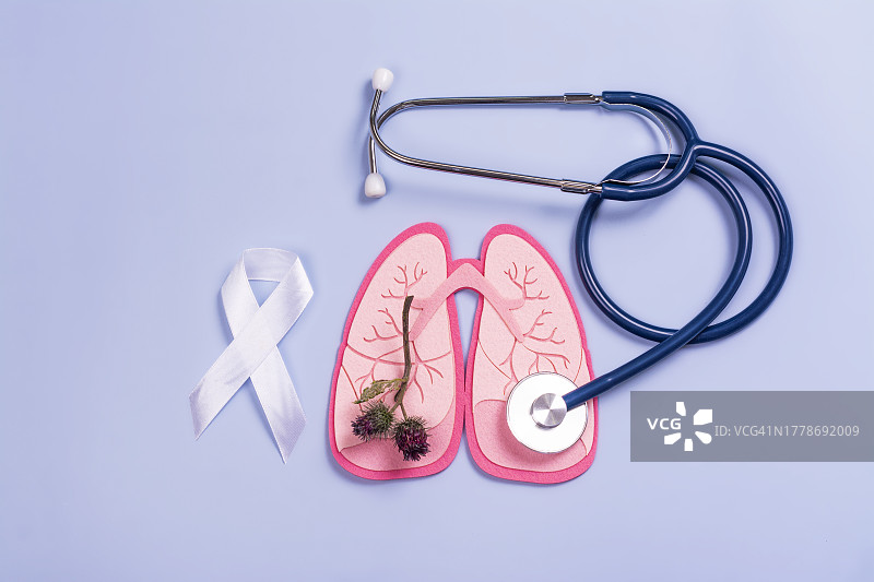 粉色肺部图像特写，紫色背景上的植物、听诊器和白色丝带，世界防治结核病日图片素材