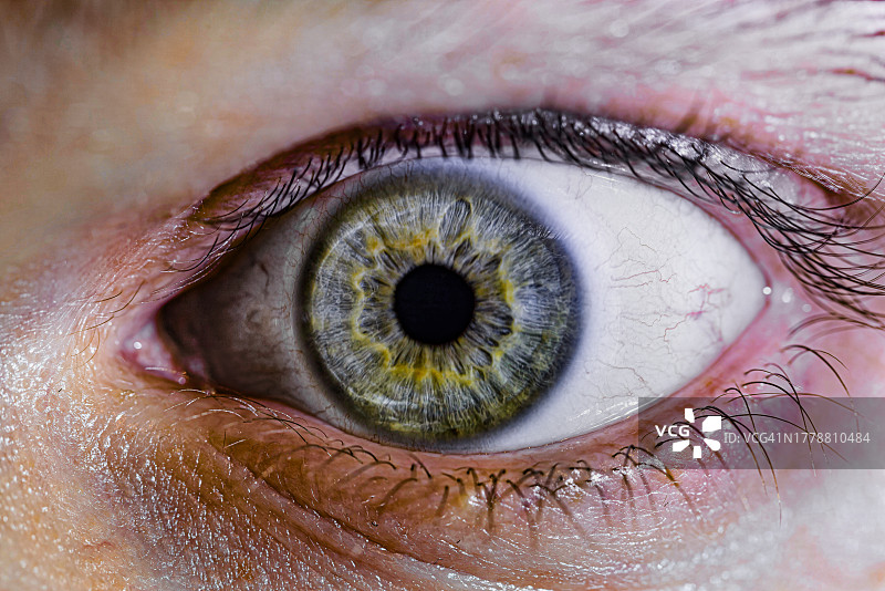 男人眼睛的特写图片素材