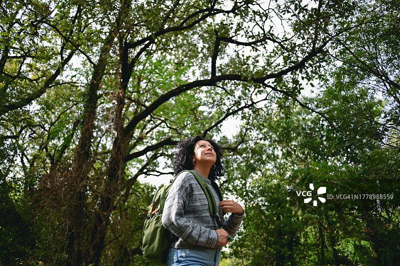 森林中背包客的低角度视图图片素材