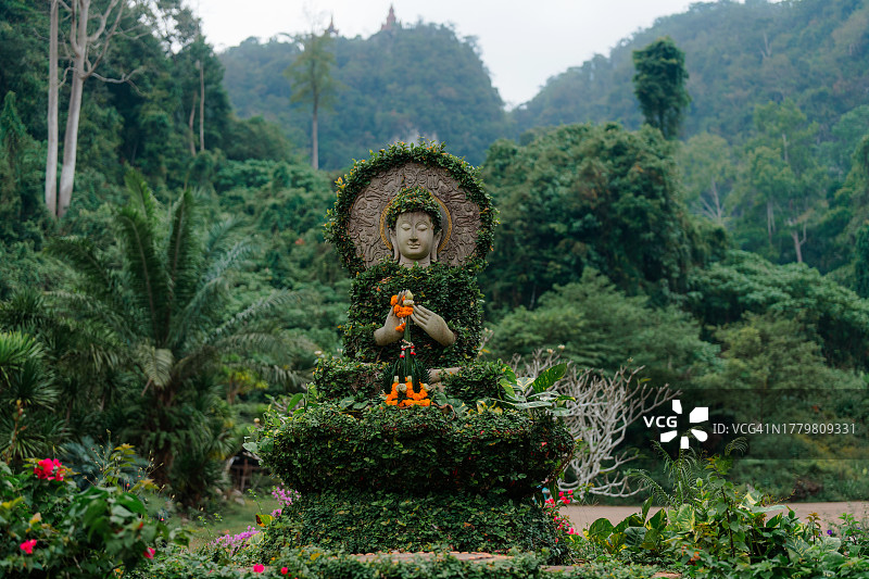 丛林中的绿色植被覆盖的佛像图片素材