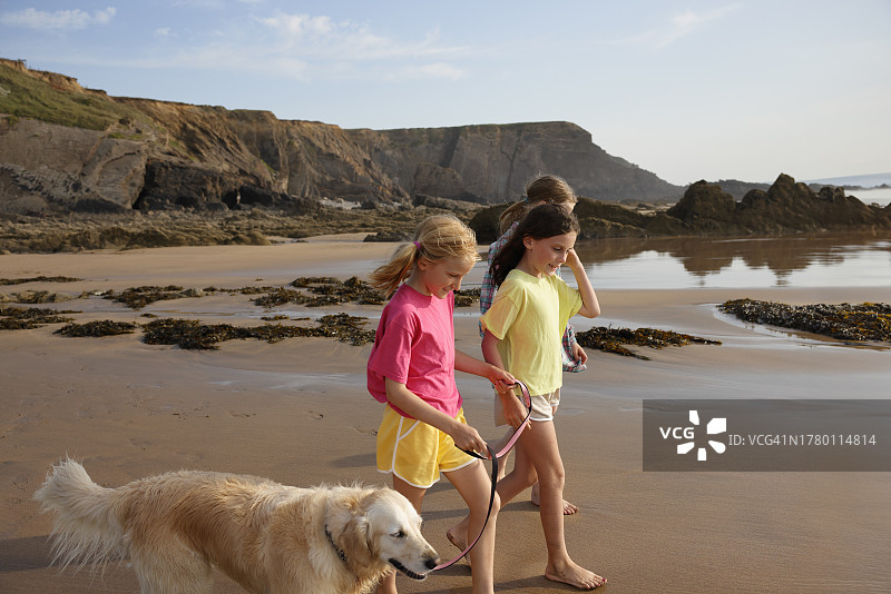 一群女孩在空旷的海滩上遛宠物狗图片素材