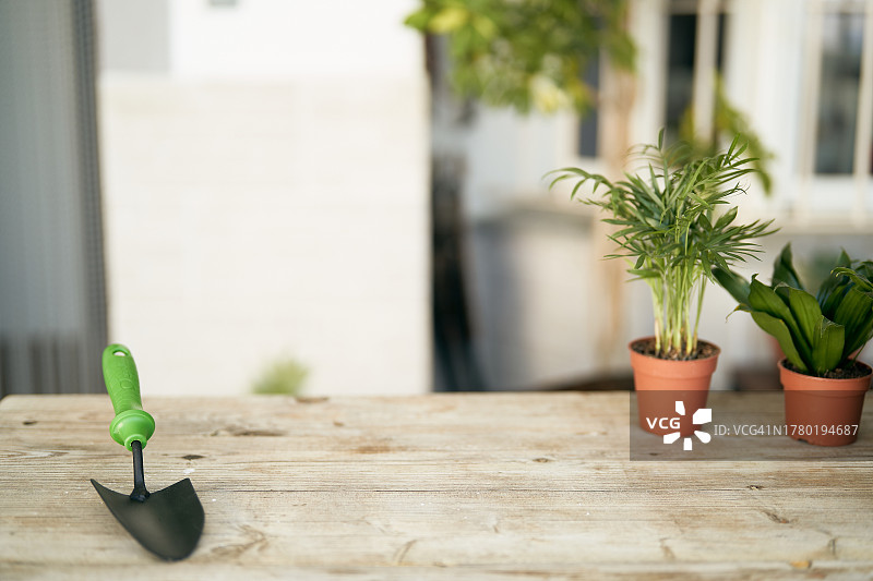 家庭园艺准备的桌子图片素材