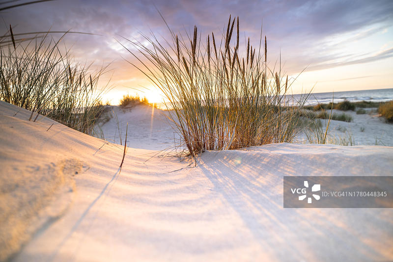 北海沙丘日落，德帕内，弗兰德斯，比利时图片素材
