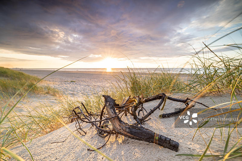 北海沙丘日落，德帕内，弗兰德斯，比利时图片素材