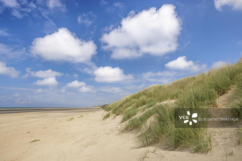 德帕内北海沿岸的沙丘景观（比利时弗兰德）图片素材