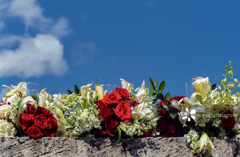 蓝天下的玫瑰花特写，美国佛罗里达州迈阿密图片素材
