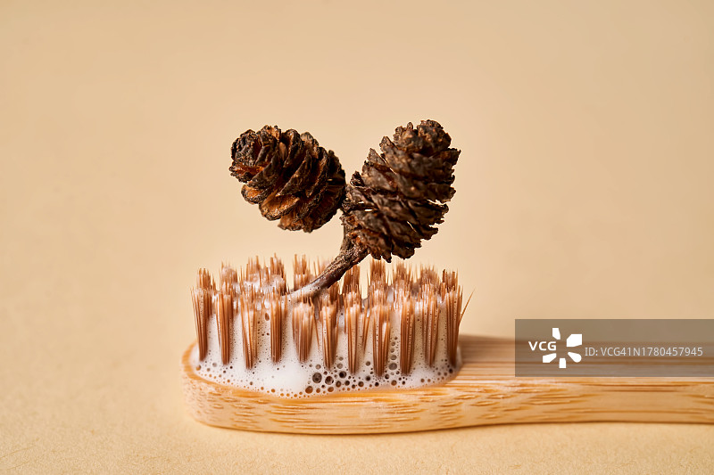 桌上的松果特写图片素材