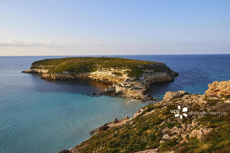 意大利西西里岛兰佩杜萨岛兔子海滩图片素材