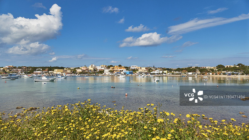 船只、彩色房屋、黄色花卉草地，意大利兰佩杜萨岛港口图片素材