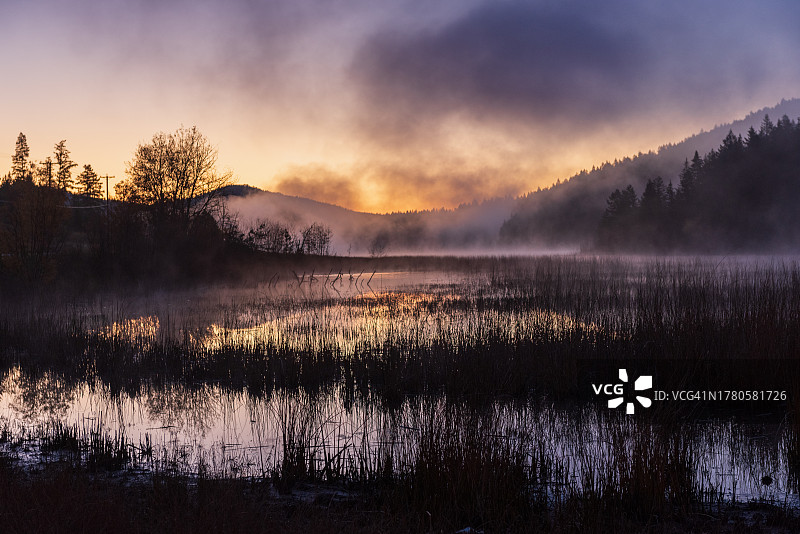 卡姆卢普斯不列颠哥伦比亚省沼泽地上空的朦胧晨雾图片素材