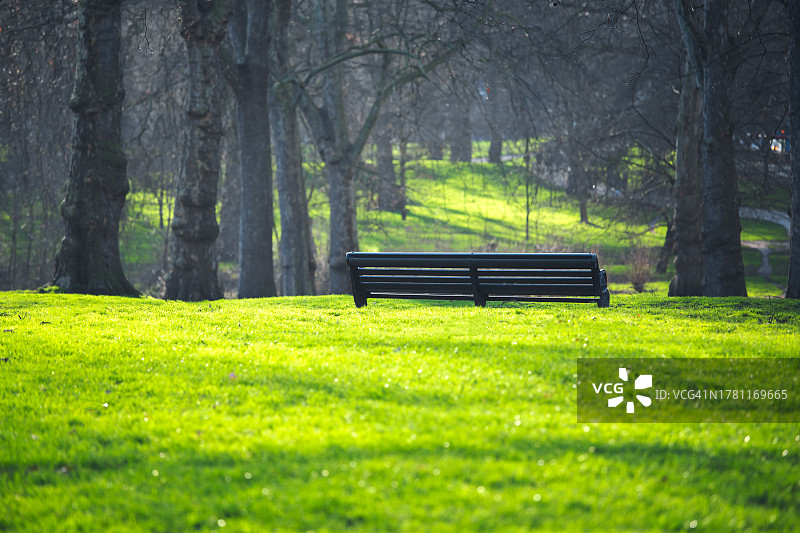 伦敦海德公园冬季景色图片素材