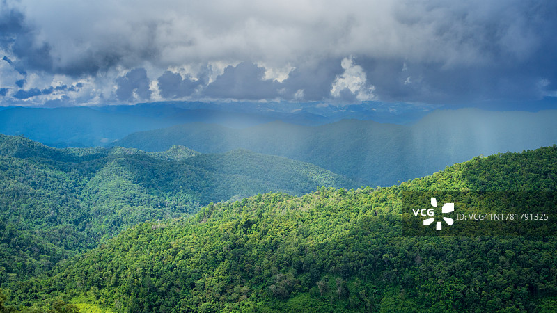 热带雨林中的雨云图片素材